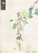 灰姑娘綠茶婊小说封面